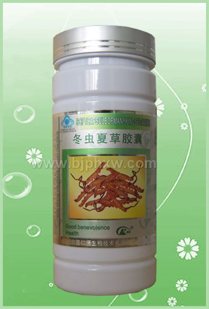 冬蟲夏草