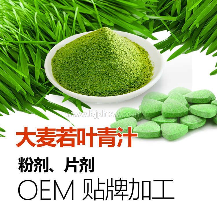 大麥若葉青汁OEM貼牌代加工 大麥青汁粉批發(fā) 供應(yīng)大麥青汁片