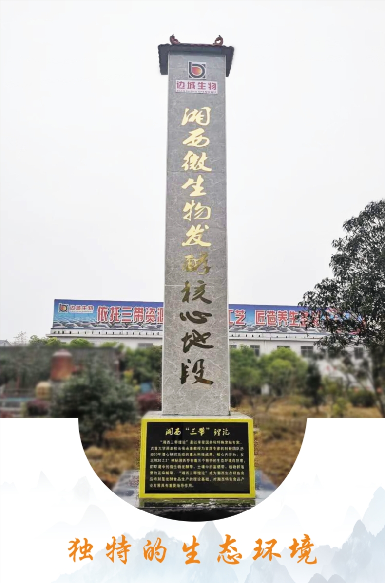 會銷門店收單創(chuàng)收品神秘湘西醋自帶流量防火墻