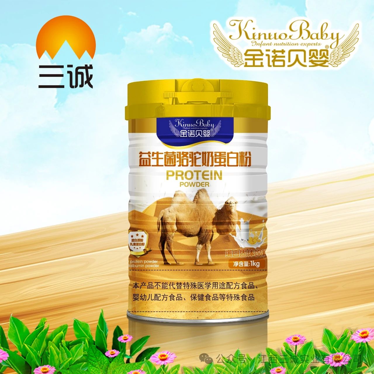 益生菌駱駝奶蛋白粉