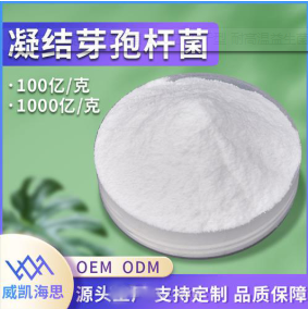 廠家直供凍結(jié)芽孢桿菌100億凍干型乳酸菌